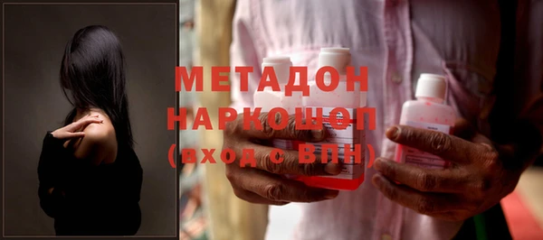 прущие грибы Богданович