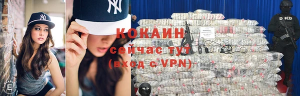 дживик Осташков