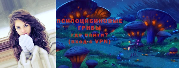прущие грибы Богданович