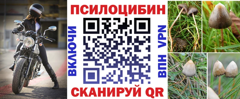 Галлюциногенные грибы Psilocybe  Боровск 